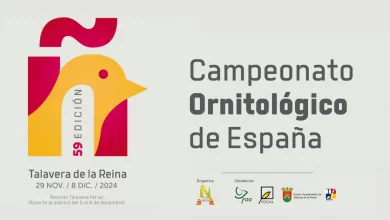 el-campeonato-ornitologico-mas-grande-de-espana-regresa-a-talavera