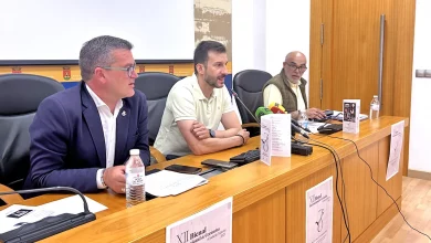 Subin Lim gana la XII Bienal Ciudad de Talavera