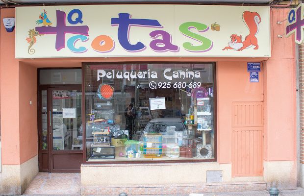 abril-2017-revista-online-love-talavera-de-la-reina-especial-comercios-1