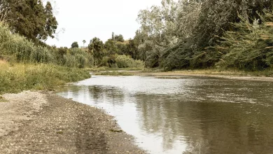 alerta inundacion rio alberche en talavera
