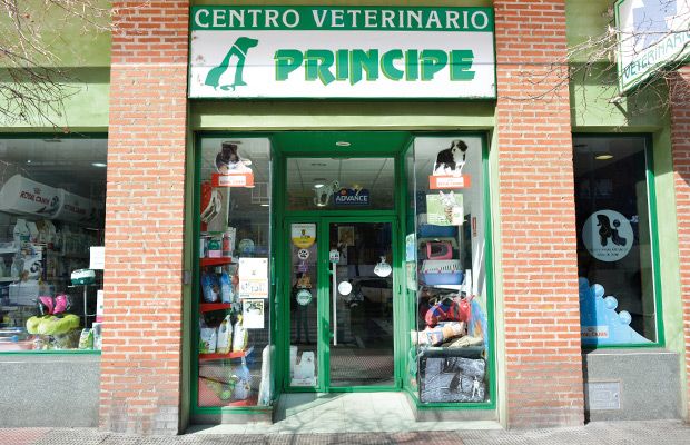 centro-veterinario-principe-revista-love-talavera