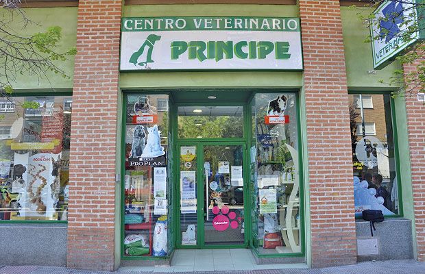enero-2017-revista-online-love-talavera-de-la-reina-special-comercios-veterinario-principe