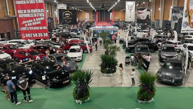 femot-2025-cierra-con-record-de-publico-mas-ventas-y-un-fuerte-sello-solidario