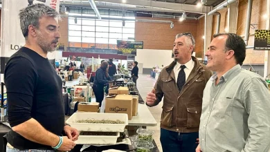 talavera-ferial-consolida-su-papel-como-motor-economico-de-talavera-con-un-fin-de-semana-de-gran-exito