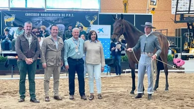 fiaga-2025-consolida-su-exito-con-casi-14-000-visitantes-y-se-reafirma-como-la-gran-feria-del-sector-agroganadero