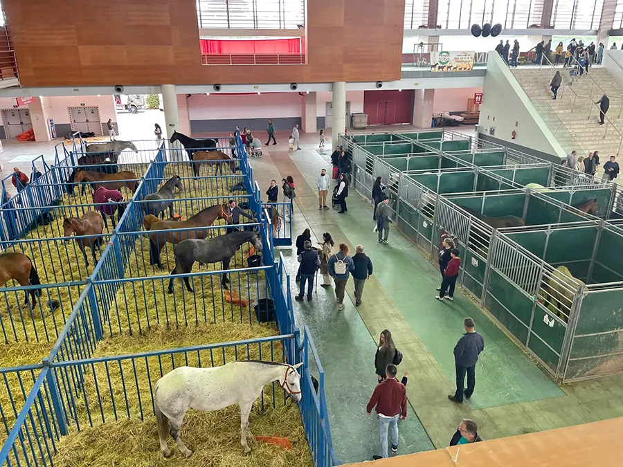fiaga 2026 talavera ferial