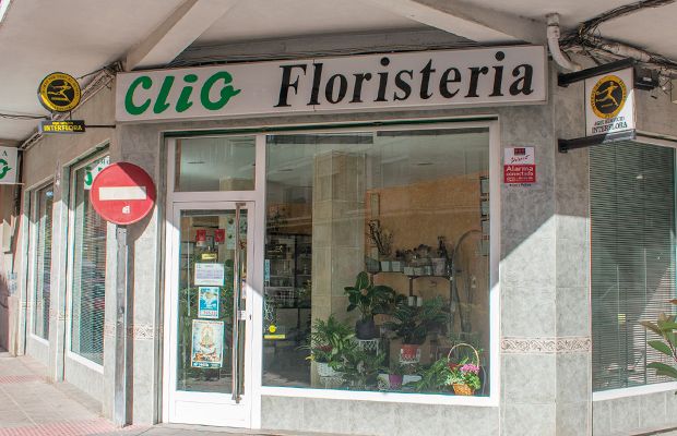 floristeria-clio-revista-love-talavera