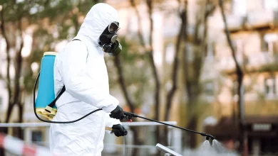 sanidad-intensifica-la-lucha-contra-mosquitos-y-roedores-con-nuevas-medidas