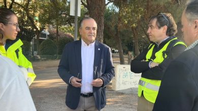 el-puente-viejo-a-un-paso-de-su-recuperacion-ultima-inspeccion-tecnica-en-talavera