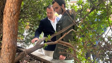 moreno-defiende-la-gestion-de-las-zonas-verdes-en-talavera-y-acusa-al-psoe-de-abandono-y-tala-indiscriminada