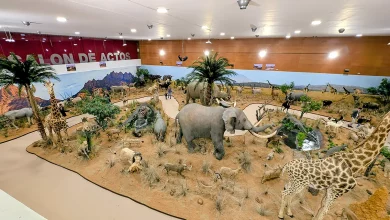 museo fauna salvaje talavera ferial