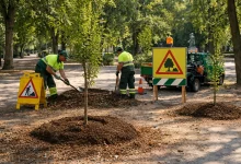 Detalles del adjunto nuevos_arboles_jardines_prado_talavera