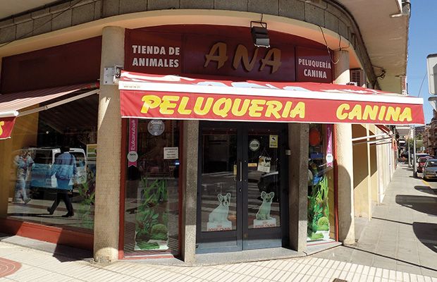 peluqueria-canina-ana-revista-talavera-love