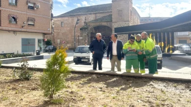 medioambiente-renueva-los-jardines-urbanos-con-nuevas-especies-perennes