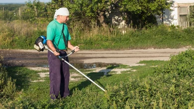 comienza-el-plan-especial-de-empleo-de-zonas-rurales-2024