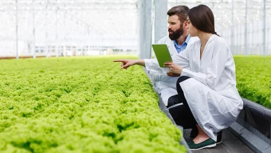 digitalizacion-del-campo-una-agricultura-mas-sostenible-y-rentable