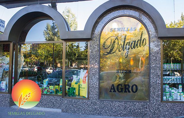 semillas-delgado