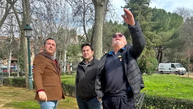 talavera comienza replobado arboles