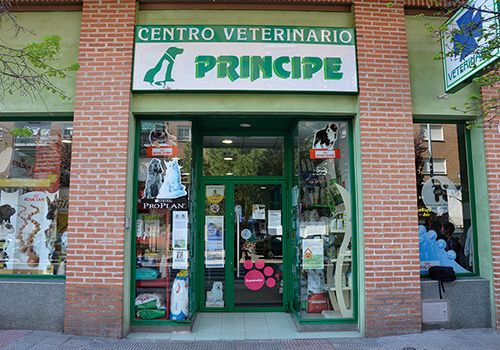 veterinario